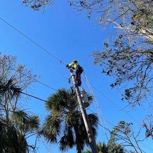 Meet your Posher, Logan